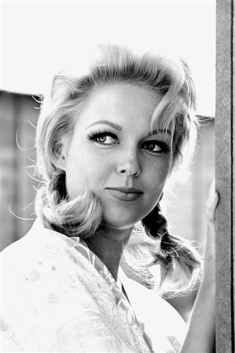 Cynthia Lynn Wood is an American model and actress. She was born in Burbank, California. She was chosen as Playboy magazine's Playmate of the Month in February 1973, and the 1974 Playmate of the Year. Her centerfold was photographed by Pompeo Posar. In 1983, she recorded vocals for three songs on the soundtrack for the anime film Golgo 13: The Professional, credited as Cindy Wood, with lyrics ...